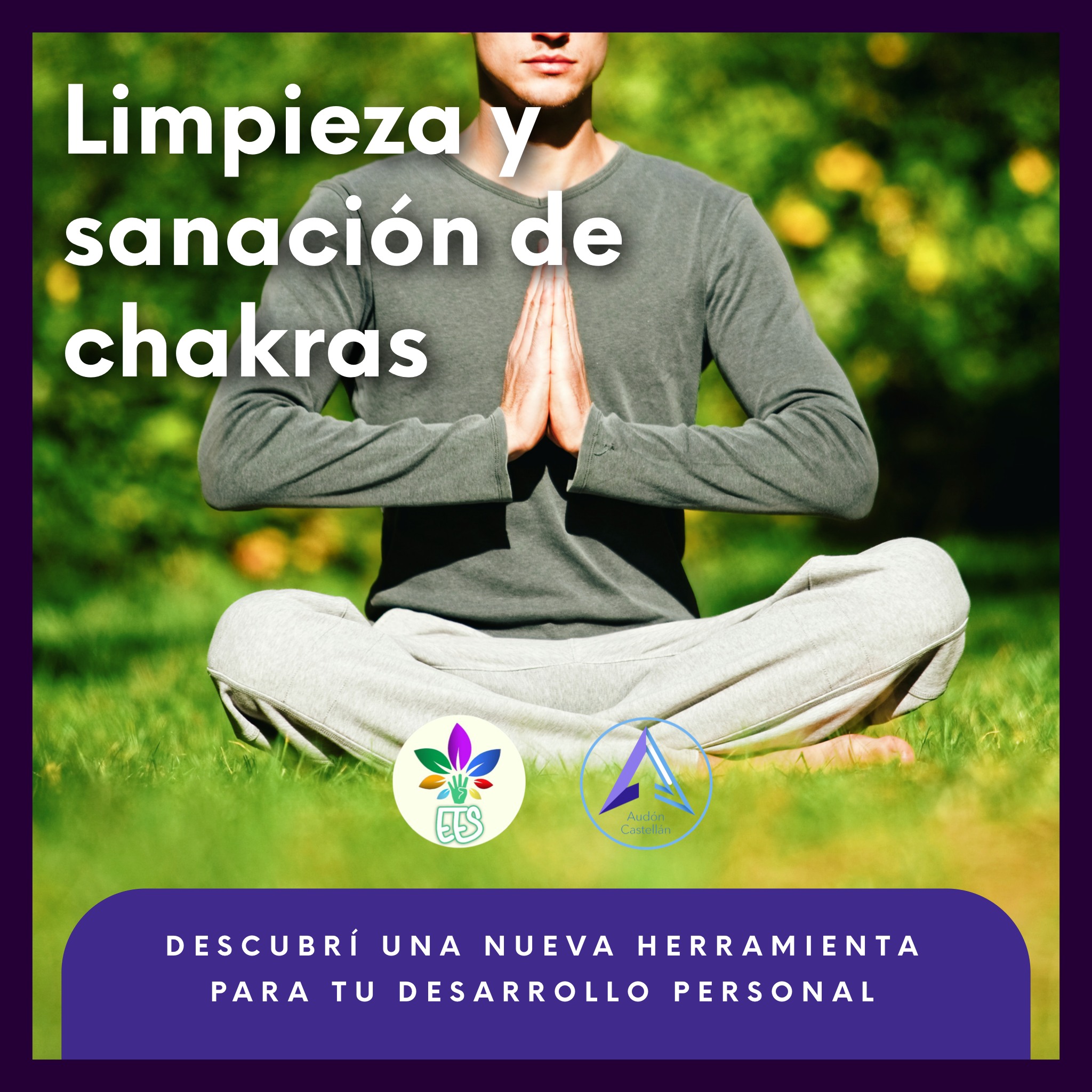 Sanacion de chackras